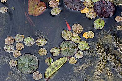 《心灵杀手2》销量突破180万套 新增50万